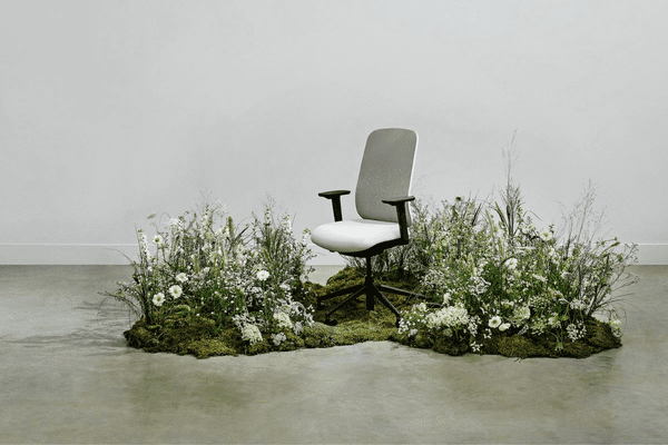 Sia Task Chair office contract furniture floral rug